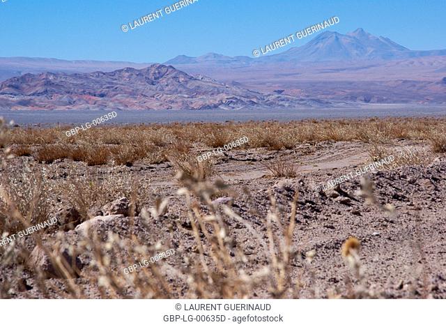 Atacama Desert, Region of Antofagasta, Santiago, Chile