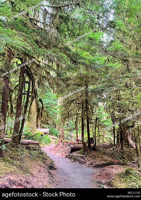 Sol Duc Falls in Sol Duc Valley are called the most beautiful falls in Olympic National Park, and situated just a few miles from Sol Duc Hot Springs Resort and...