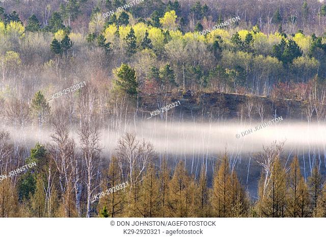 Morning mist over a leatherleaf bog with spring trees on nearby hillsides, Greater Sudbury, Ontario, Canada