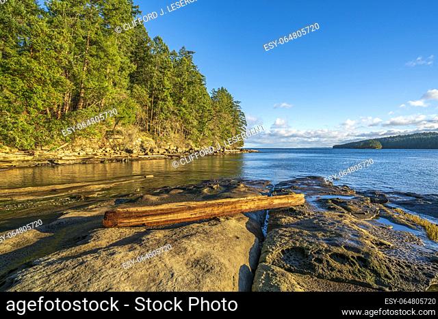 A driftwood log washed up on the rocky shoreline of Gabriola Island
