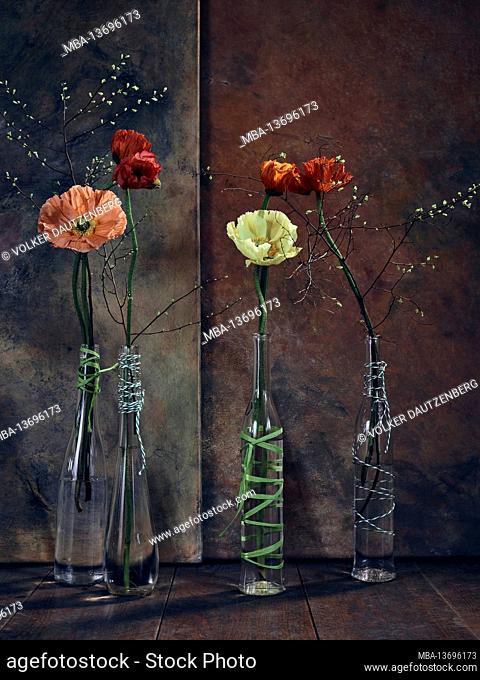 Poppies in glass bottles filled with water in front of canvases painted with dark colors