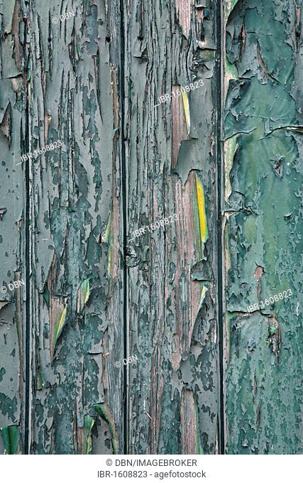 Flaking paint on an old wooden door