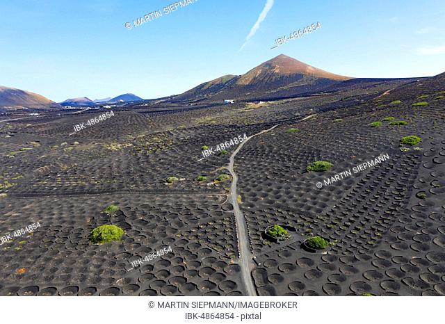 Vineyard La Geria, Guardilama Mountain, near Yaiza, drone shot, Lanzarote, Canary Islands, Spain
