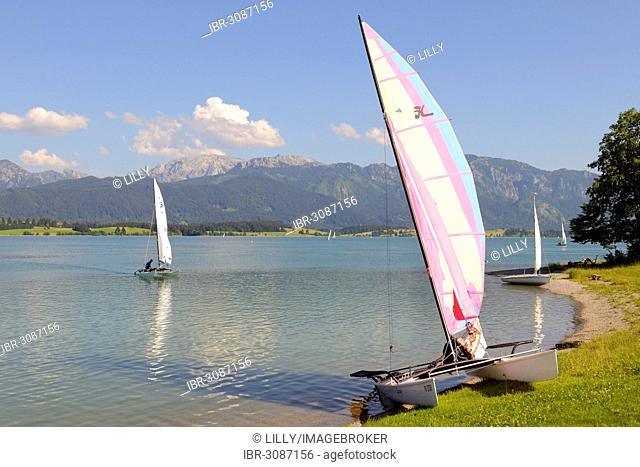 Catamaran on Lake Forggen