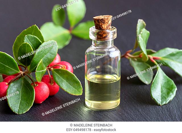 A bottle of essential oil with wintergreen leaves and berries on a dark background