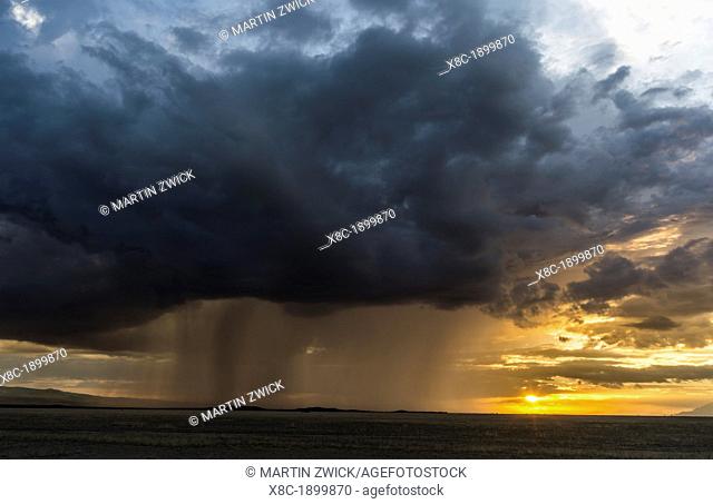 Storm over Amboseli National Park in Kenya  The storms are forming over the nearby slopes of Mount Kilimanjaro  Africa, East Africa, Kenya, Rfit Valley Province