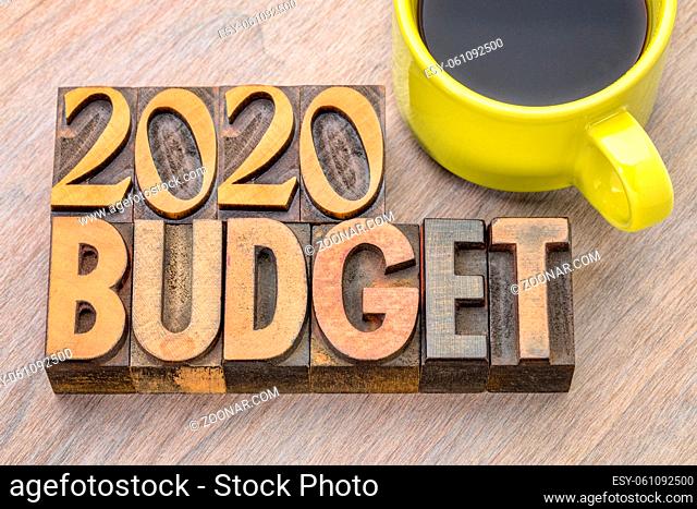 2020 budget financial concept in vintage letterpress wood type with a cup of coffee, business planning