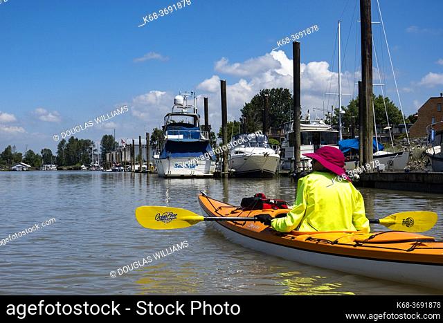 Woman kayaking on the Fraser River, Ladner, BC, Canada