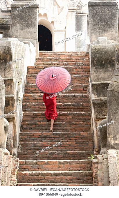 Young monk walking with umbrela
