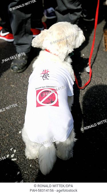 A dog wears a shirt reading 'Good by Diktator' duringa demontstration against an event with the Turkish President Recep Tayyip Erdogan in Karlsruhe,  Germany