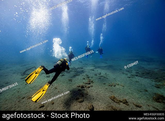 Scuba divers over ocean floor undersea
