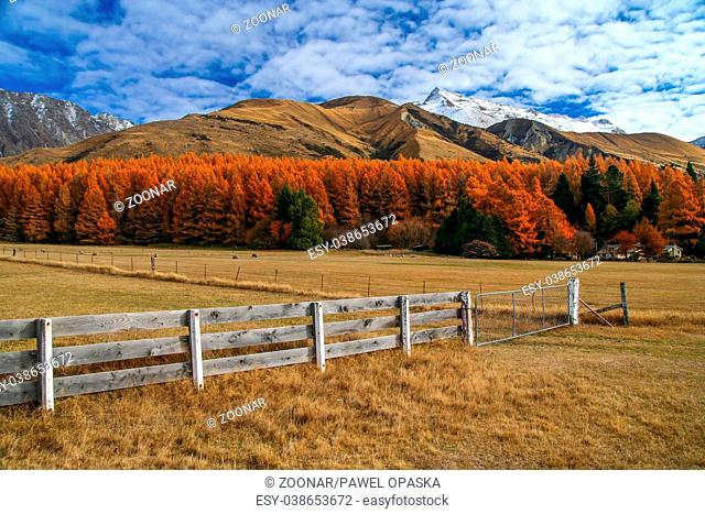 Rural mountain Scenery