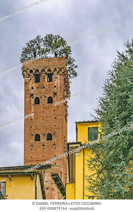 Low angle shot exterior view of famous guinici tower at historic center of Lucca city, Italy