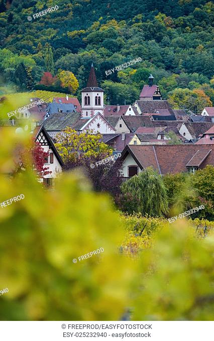 Church and village, Alsace Vineyard, France, Europe