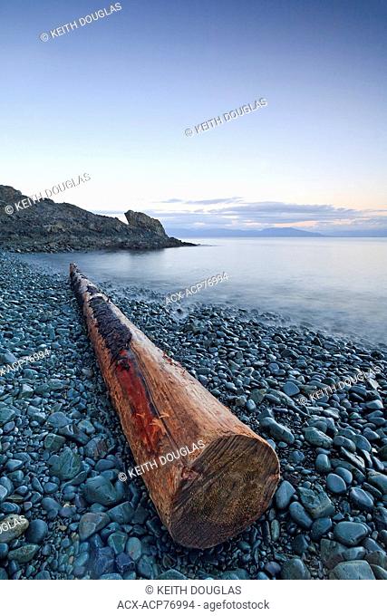 Driftwood log at Pipers Lagoon Municipal park, Nanaimo, British Columbia, Canada