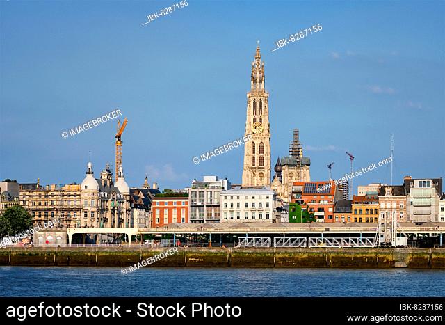 View of Antwerp over the River Scheldt, Belgium, Europe
