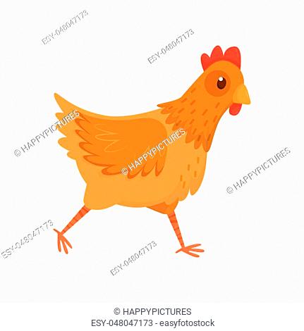 Colorful illustration of running hen. Chicken with brown feathers and red  scallop, Stock Vector, Vector And Low Budget Royalty Free Image. Pic.  ESY-048047173 | agefotostock