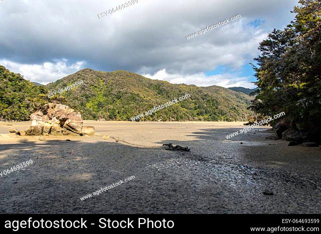 Torrent bay of Abel Tasman National Park in summer, New Zealand
