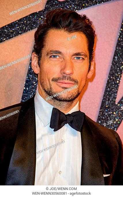 The Fashion Awards 2016 - Arrivals Where: The Royal Albert Hall, London, United Kingdom When: 5th December 2016 Featuring: David Gandy Where: London
