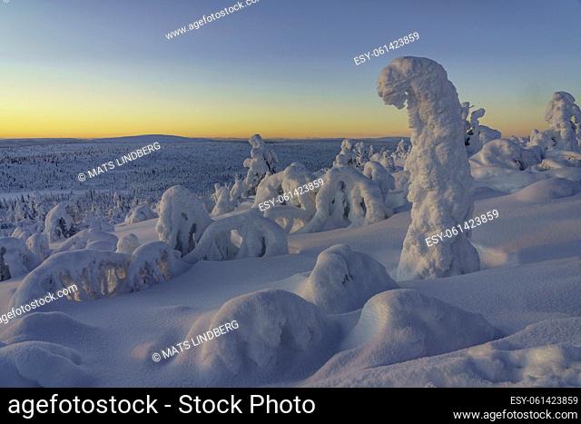 Winter landscape at sunset with plenty of snow on the trees and colorful sky, Gällivare county, Swedish Lapland, Sweden