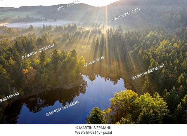 Germany, Bavaria, Upper Bavaria, Toelzer Land, Dietramszell, sunrise over nature reserve Klosterfilz