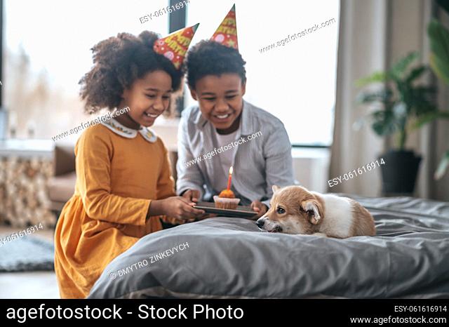 Pancake for puppy. Kids near the puppy looking happy and holding a little birthday pancake