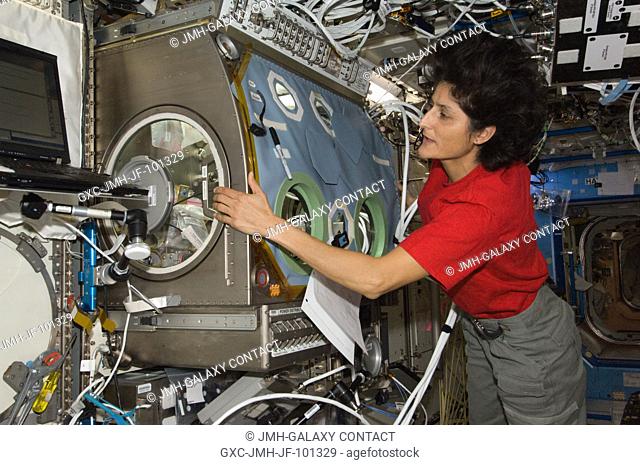 NASA astronaut Sunita Williams, Expedition 32 flight engineer, works at the Microgravity Science Glovebox (MSG) in the Destiny laboratory of the International...