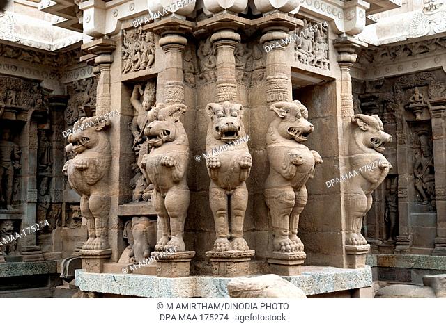 lion of sculptures in Kailasanatha temple in , Kanchipuram , kancheepuram , Tamil Nadu , India