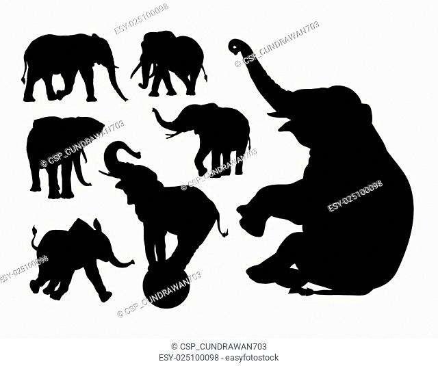 Elephant animal silhouettes