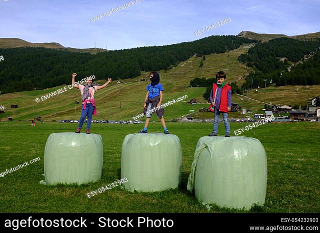 Children play on the bales of hay in the meadows of Livigno, Valtellina, Lombardy, Italy