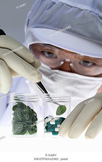 Scientist Inserting The Leaf In Capsules Bottle