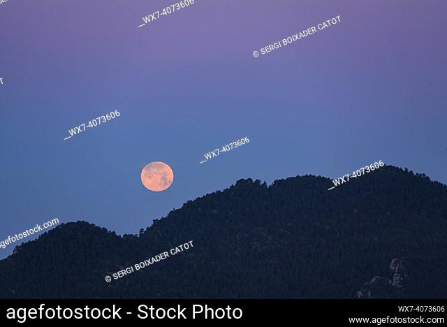 Sunrise and moonset seen from the Figuerassa viewpoint, in a summer morning (Barcelona province, Catalonia, Spain, Pyrenees)