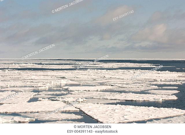 Sea Ice in the Barents Sea