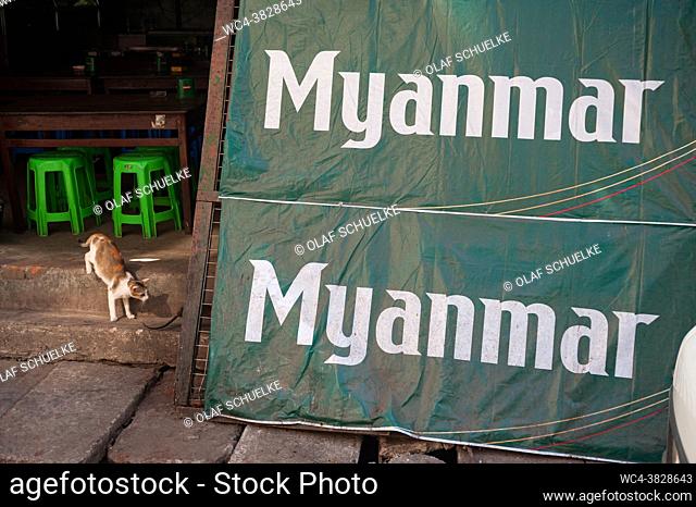 Yangon, Myanmar, Asia - A stray cat and an advertising display for a local beer brand in front of a restaurant in the centre of the former capital city