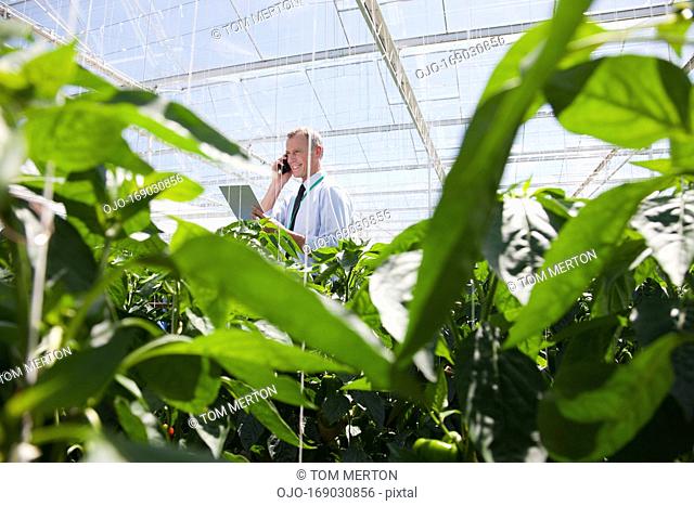Businessman talking on cell phone in greenhouse