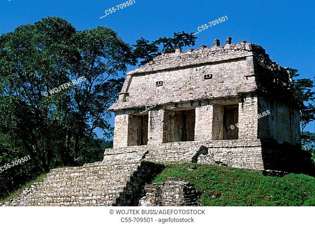 orth Group, the Temple of the Count (UNESCO World Heritage). Palenque. Chiapas. Mexico