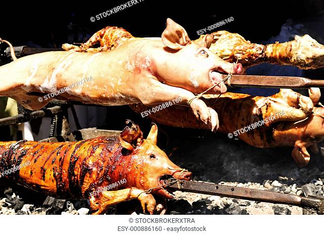 Spit roasted pigs cooked over hot coals