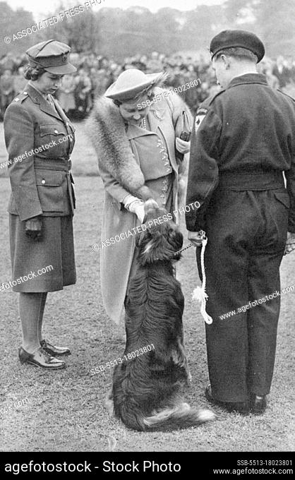King Thanks Civil Defense Forces -- Her Majesty petting ""Peter"", a collie member of the famous dog rescue squad which Figured in V-Bomb Incidents