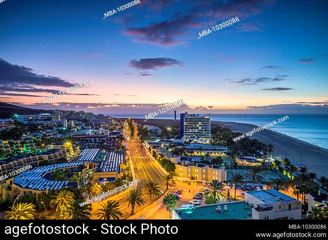 Spain, Canary Islands, Fuerteventura Island, Morro jable, Playa del Matorral beach, palm tree and streetlight, dawn