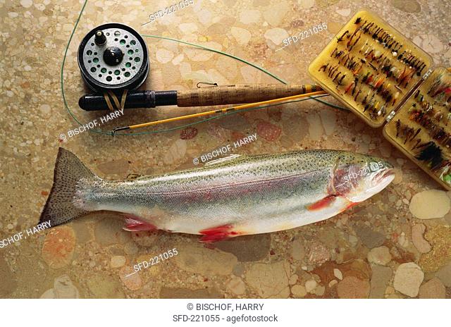 Rainbow trout on brown marble with fishing tackle