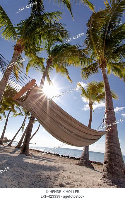 Beach area with hammock at luxury hotel Reach Resort, Key West, Florida Keys, USA