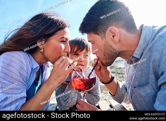 Father and mother drinking juice with son on sunny day