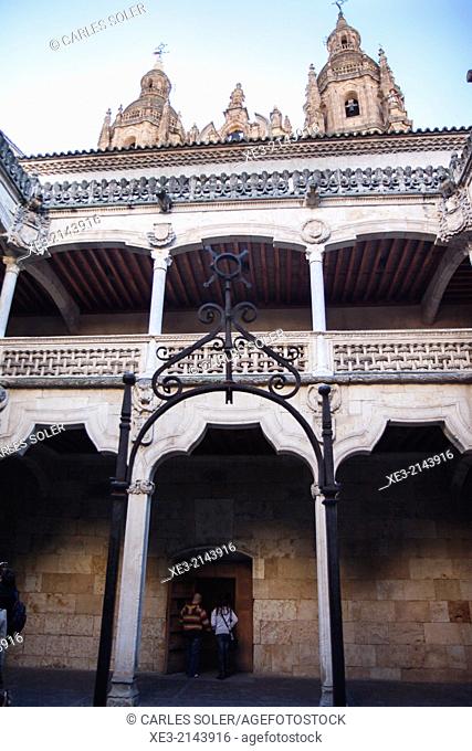 Patio de la Casa de las Conchas, Salamanca