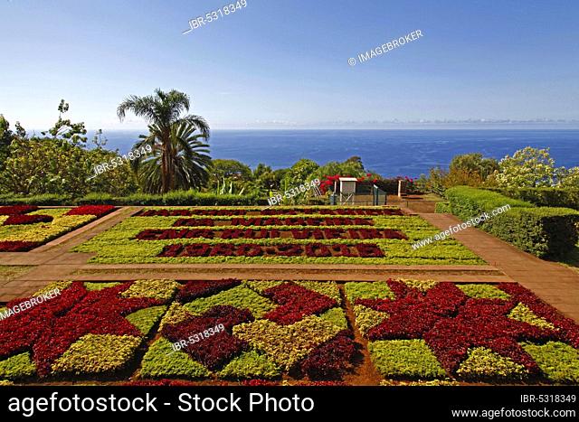 Botanical Garden, Jardim Botanico, Funchal, Madeira Island, Portugal, Europe