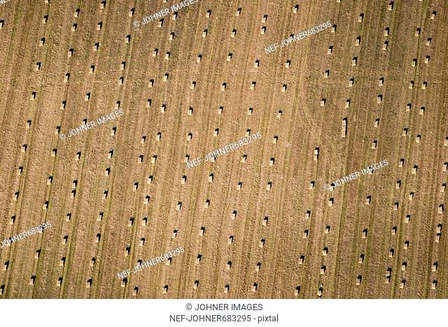 Aerial view of a field, Sweden