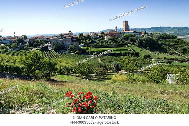 Italy, panorama of vineyards of Piedmont Langhe-Roero and Monferrato on the World Heritage List UNESCO. Panorama of Barbaresco village