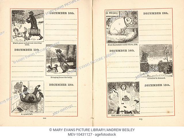 A double page spread in a young person's diary for 10-15 December. Each day is given a small illustration, relating either to the season