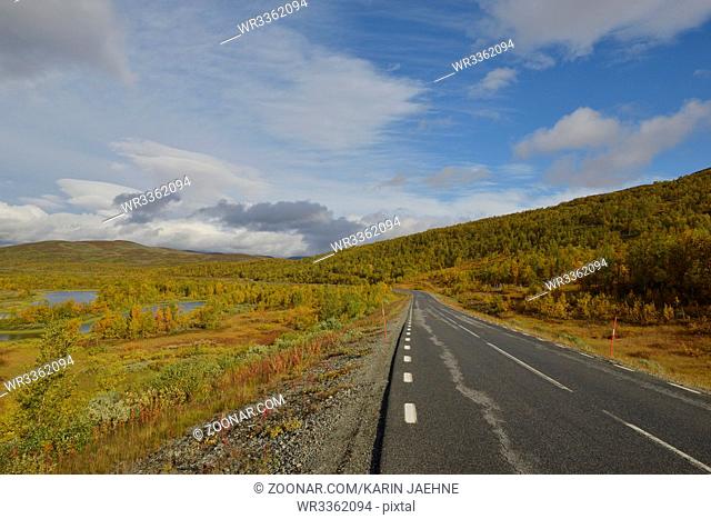 Auf der Wildnisstraße (schwedisch Vildmarksvaegen) entlang der Schwedisch-norwegischen Grenze . Vildmarksvägen in sweden in autumn