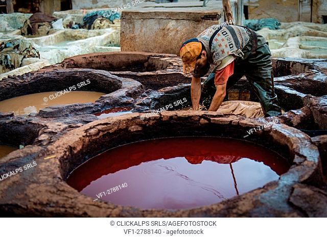 Fes, Morocco, Africa. The ancient craft of dyeing leather