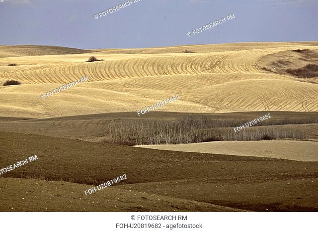 coteau, ploughed, missouri, field, stubble, sunlit